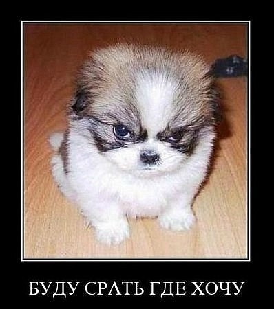 Николай Злобин Zloy Dj | Ростов-на-Дону