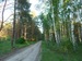 Андрей Бурдастиков фотография #35