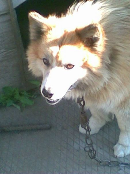 №41, Сергей Кочкин, Красноярск №41, Сергей Кочкин, Красноярск