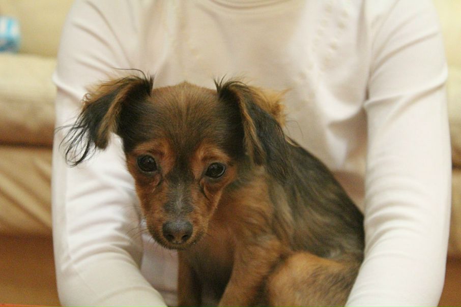 №8, Николай Меркулов №8, Николай Меркулов