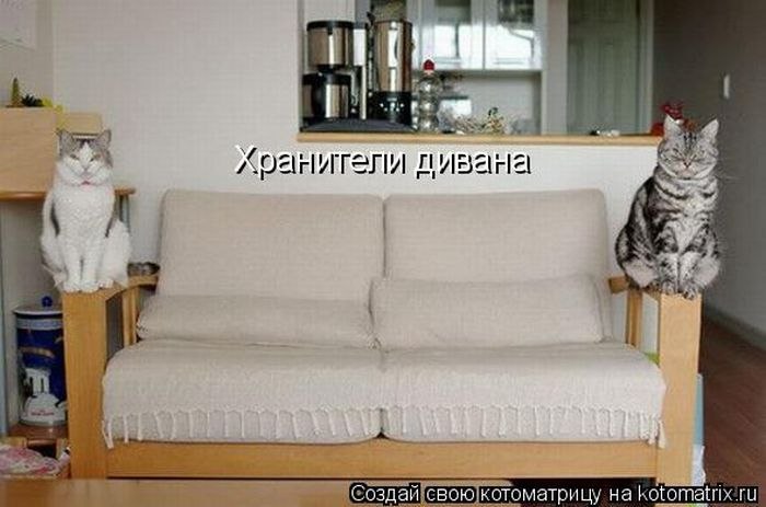 Ольга Козьякова | Санкт-Петербург