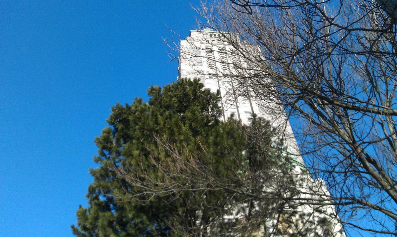 Алиса Новикова | Москва