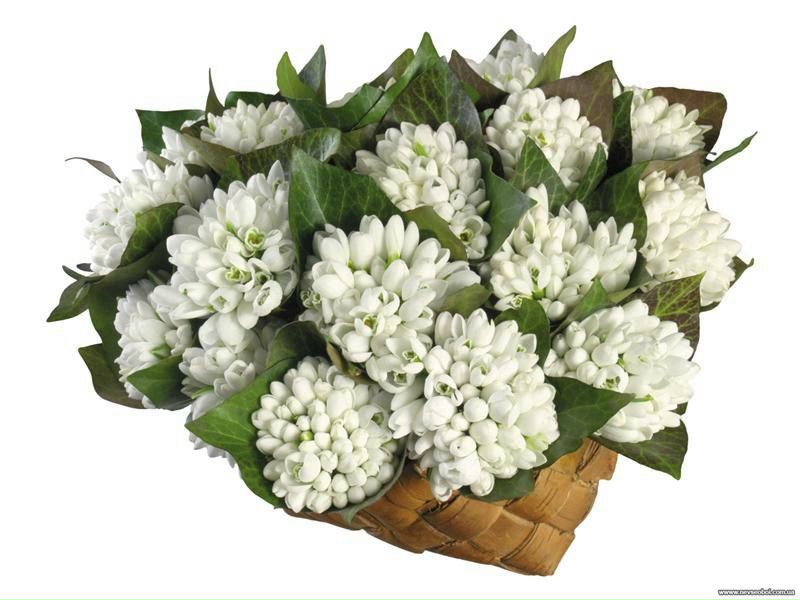 №1, Юлия Детки, Керчь №1, Юлия Детки, Керчь
