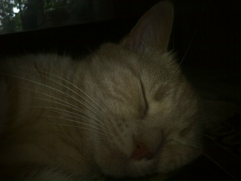 Olya Burjanova | Кропивницкий / Кировоград