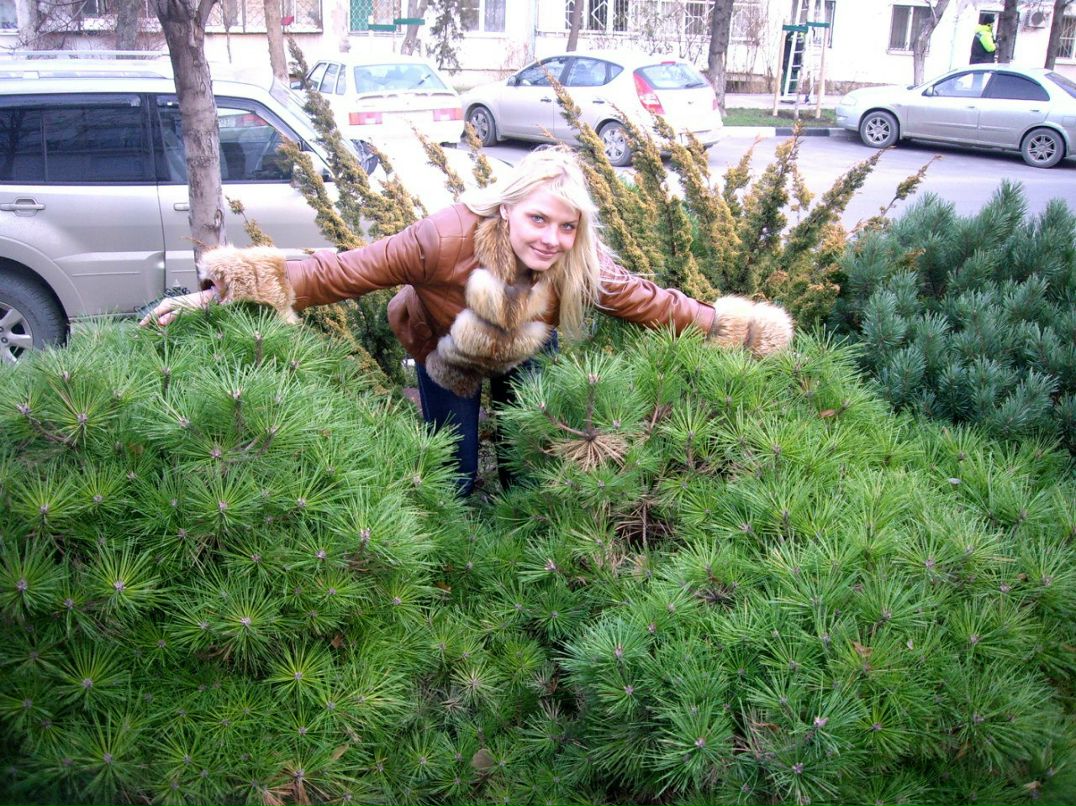 Натик Ерошевич | Минск