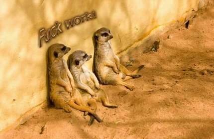 №29, Marko Gavranović №29, Marko Gavranović