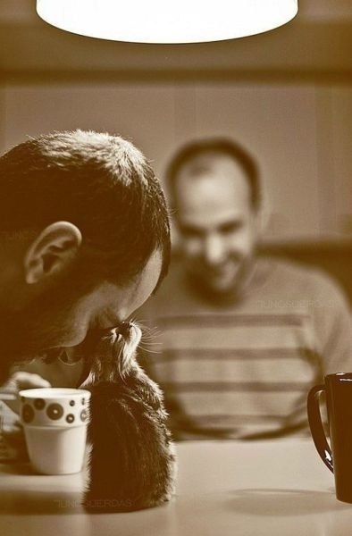 Денис Рыбочкин | Springfield