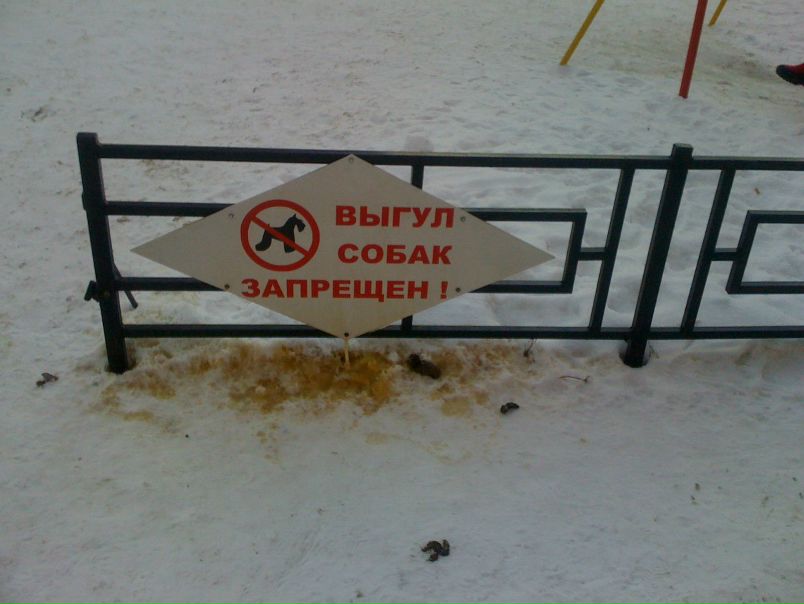 №117, Илья Васильев, 47 лет, Санкт-Петербург №117, Илья Васильев, 47 лет, Санкт-Петербург