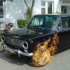 Аватар: Самый Шустрый