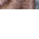 №88, Мария Косенко, Кривой Рог №88, Мария Косенко, Кривой Рог