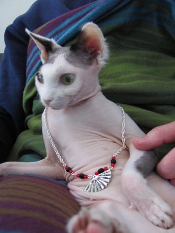 №8, Оксана Настасий, 37 лет, Москва №8, Оксана Настасий, 37 лет, Москва