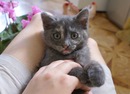 №20 Евгения Ильина 19.02.1988: профиль, фото, статус - ВКонтакте