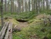 Михаил Камозин фотография #38 (источник - https://vk.com/id82740017)