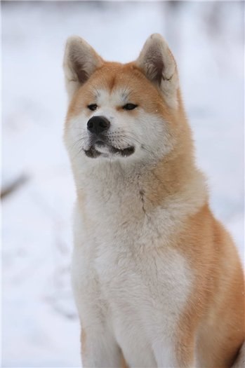 Undertaker Undertaker ► | Санкт-Петербург