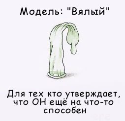 Павел Анисимов | 