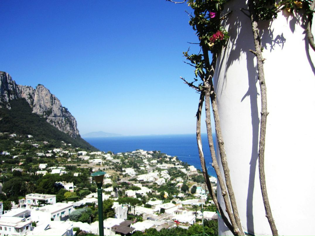 Регина Сагдеева | Новосибирск