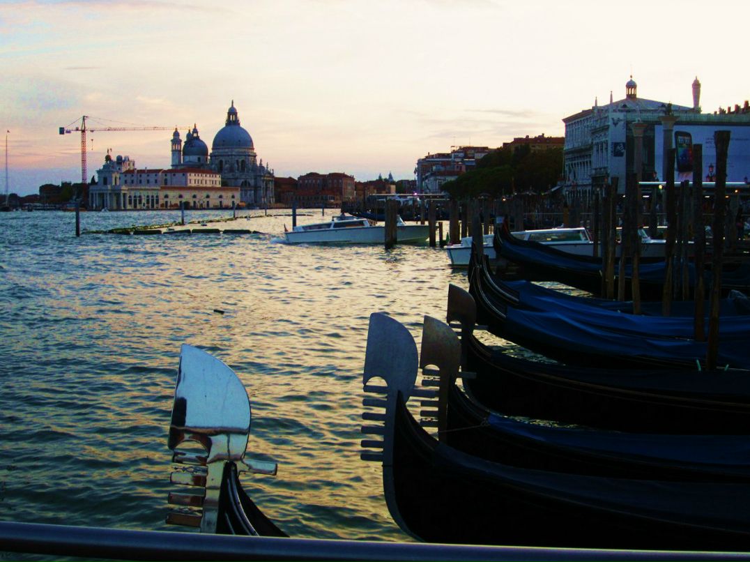 Регина Сагдеева | Новосибирск