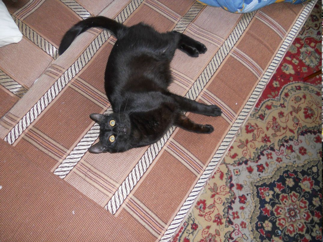 Мария Грибкова | Иваново