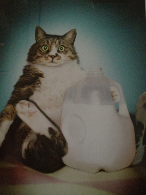 Артем Епт [həup] | Москва