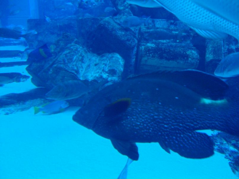 Серёга Агафонов | Харьков