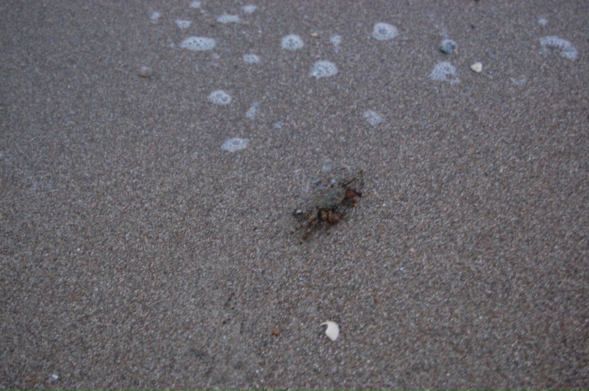 Дарья Рожкова | Москва