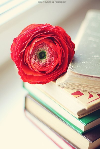 Ольга Гречанникова | Москва