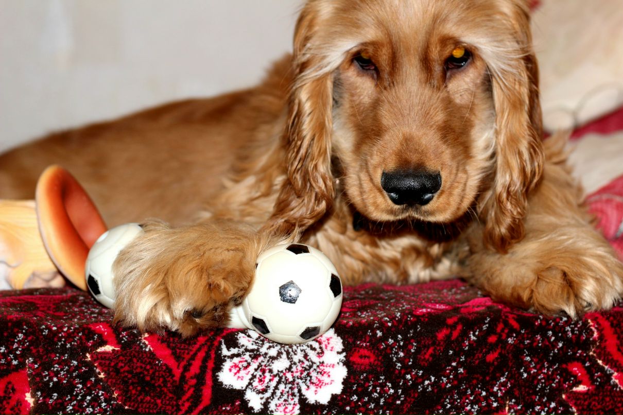 Екатерина Поплавская $reDISKOOOOO$ | Киев