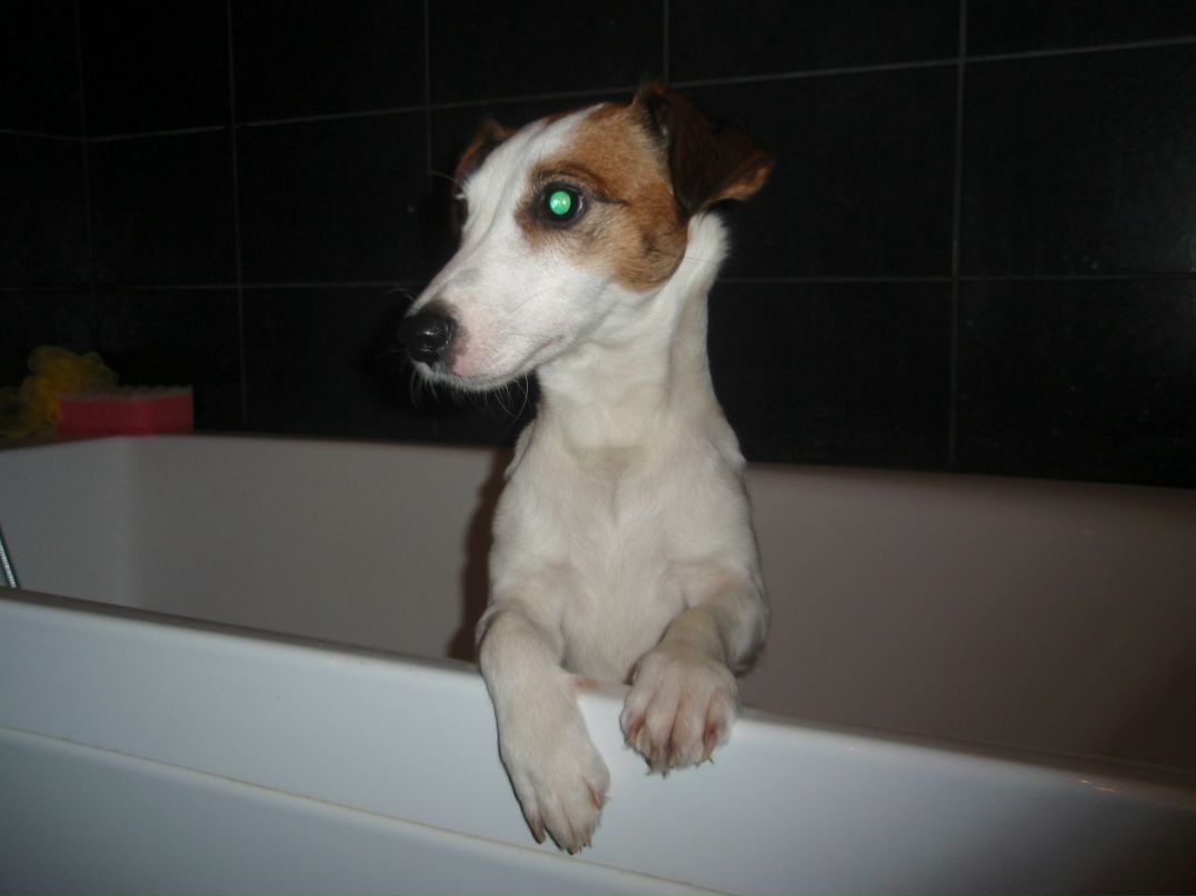 Вадим Понякин | Севастополь