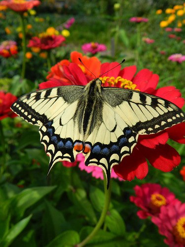 Татьяна Котова | Москва