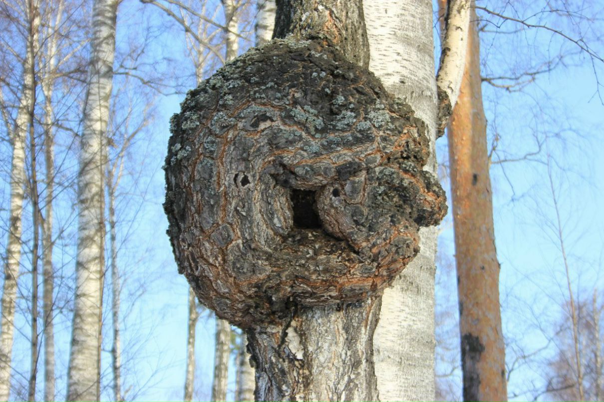 Николай Гладышев Михайлович | Москва