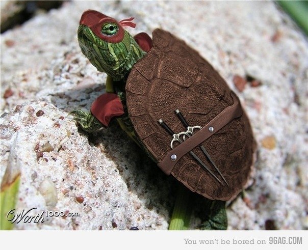 Антон Варакин Ich mag Brüste | Хабаровск