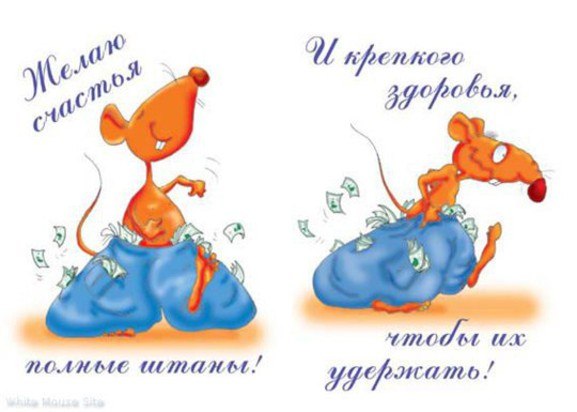 №8, Лара Заремба, Житомир №8, Лара Заремба, Житомир