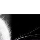 Елена Цой ( Ан ) | Алматы