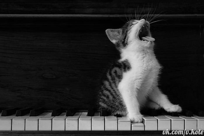 Александр Данилов | Чебоксары