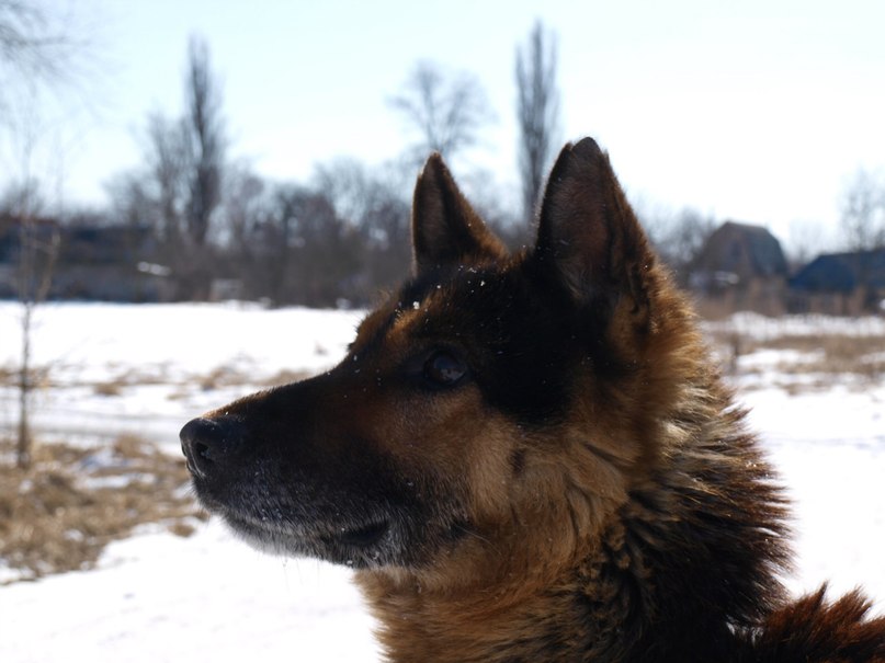 Інна Згривець | Киев