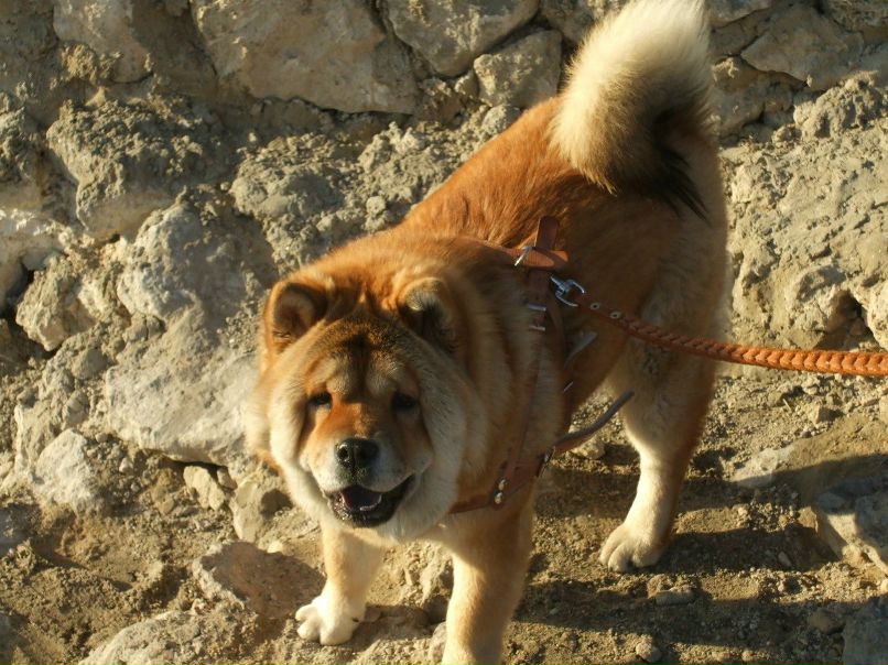 Іра Довганюк | Кременец