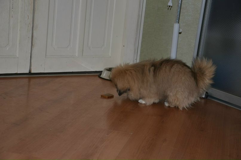 Николай Никонов _Юрич_ | Тюмень