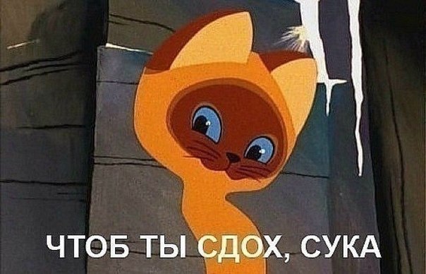 Дмитрий Марков | Волжск