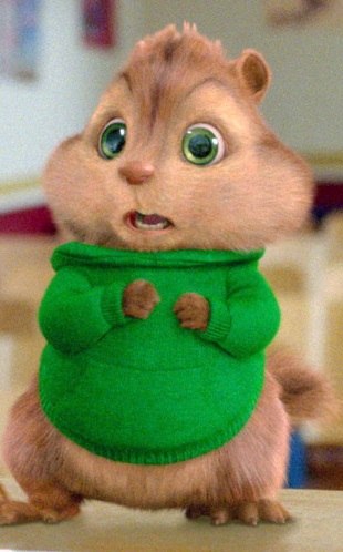 Макс Андриевский | Калининград