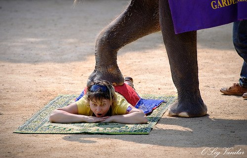 Арина Пушистик | Москва