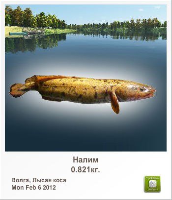 Александр Марченко | Витебск