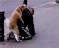 Владимир Романов M@NOW@R | Ярославль