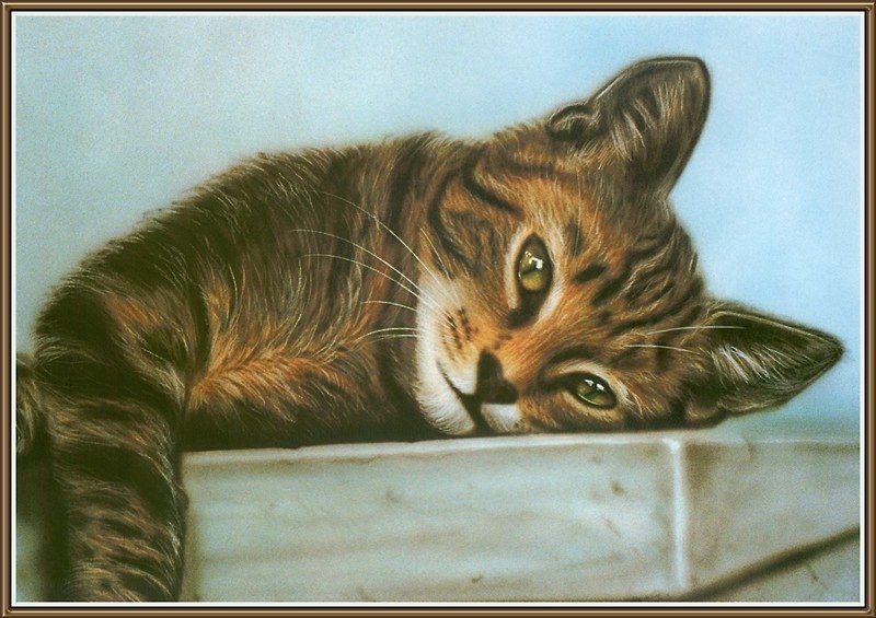 Вова Юрчак Borxa Santos | Ялта