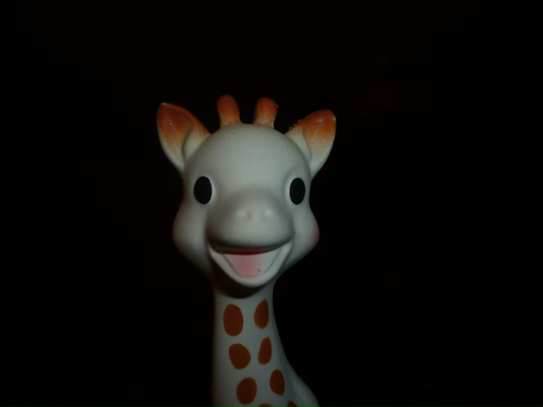 Паша Васильев | 