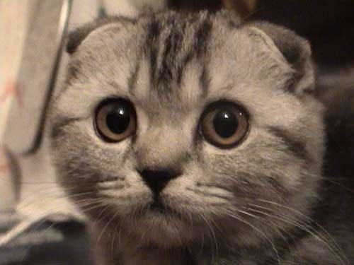 №42, Екатерина Дубинина, Тверь №42, Екатерина Дубинина, Тверь