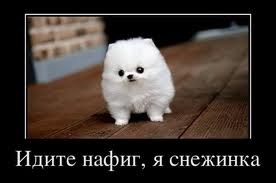 №48, Евгения Хамбир, Петрозаводск №48, Евгения Хамбир, Петрозаводск