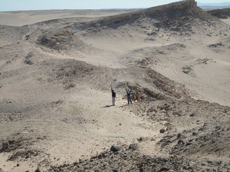 Александр Рыбаков Николаевич | Нижнекамск