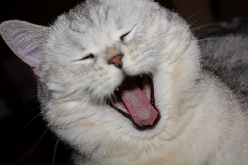 Tonya Silantyeva | Москва