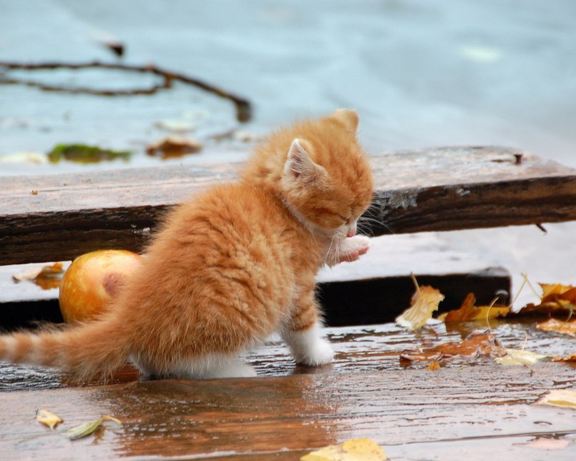 Артем Старков | Пермь