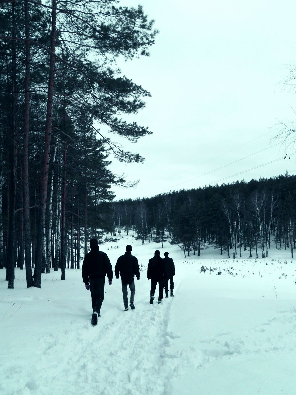 Алексии Кулына | 